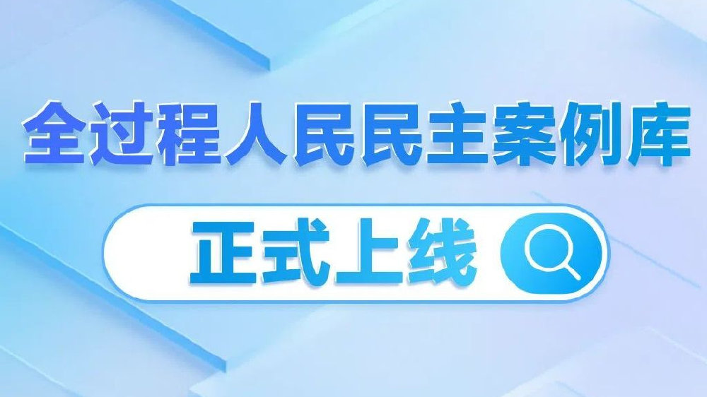 人民网“全过程人民民主案例库”正式上线