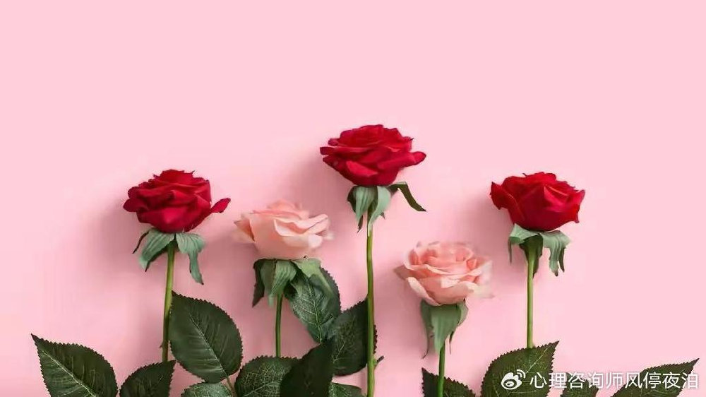 《蜗居》：如果你足够理解宋太太，就会明白第三者为啥那么欠收拾