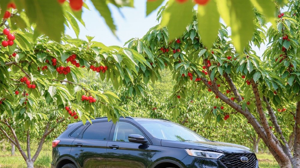 福特锐届燒機油解決辦法分析