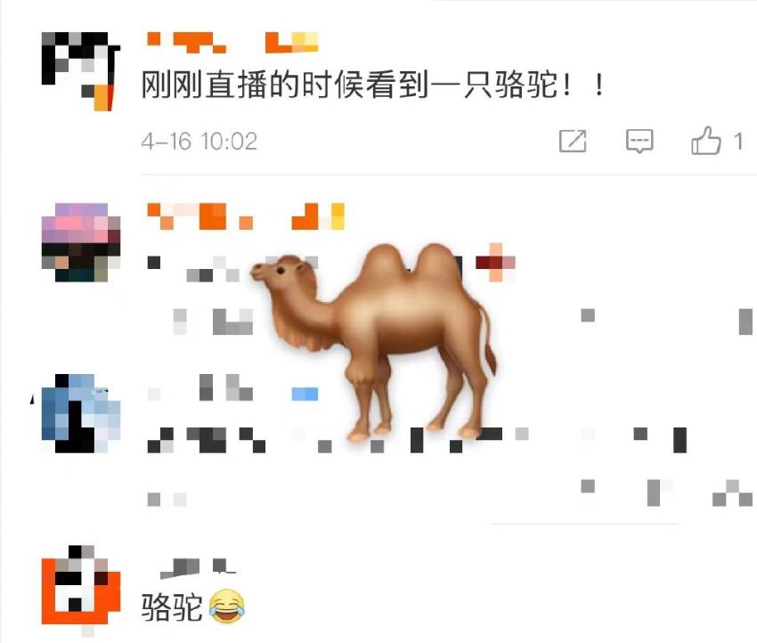 顺利出舱,感觉良好!着陆场还有骆驼看热闹,再来看看航天员回来后第一顿饭有什么休闲区蓝鸢梦想 - Www.slyday.coM 顺利出舱,感觉良好!着陆场还有骆驼看热闹,再来看看航天员回来后第一顿饭有什么休闲区蓝鸢梦想 - Www.slyday.coM