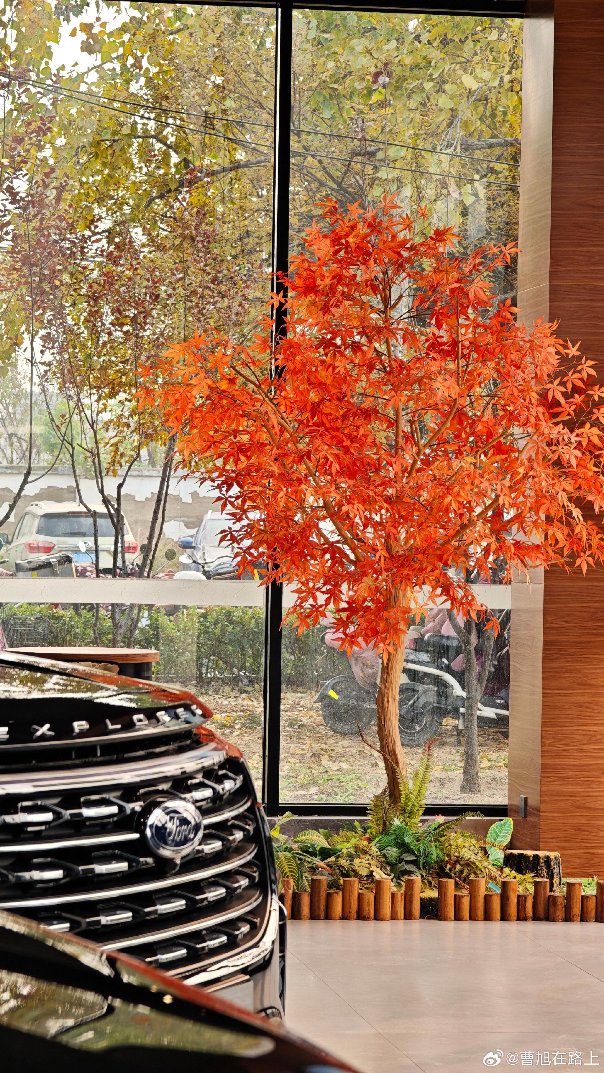 看完烈马真的情绪和体温都容易被拉高