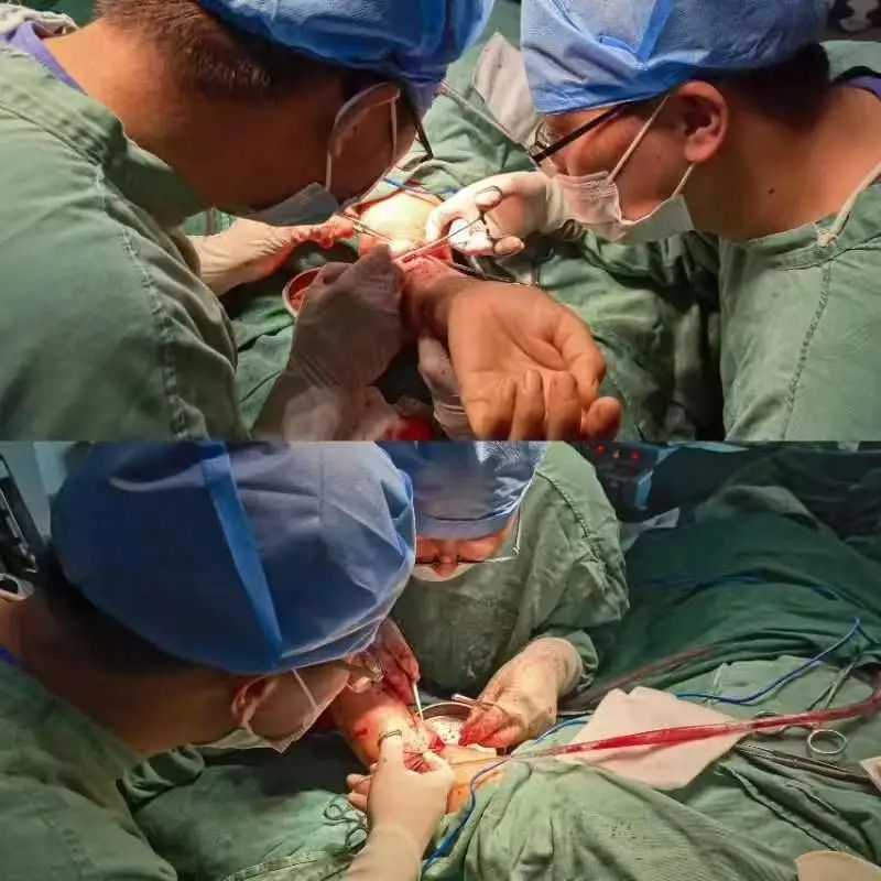 九江一女子被狗撕咬成重伤,江西省胸科医院4小时手术救治休闲区蓝鸢梦想 - Www.slyday.coM 九江一女子被狗撕咬成重伤,江西省胸科医院4小时手术救治休闲区蓝鸢梦想 - Www.slyday.coM