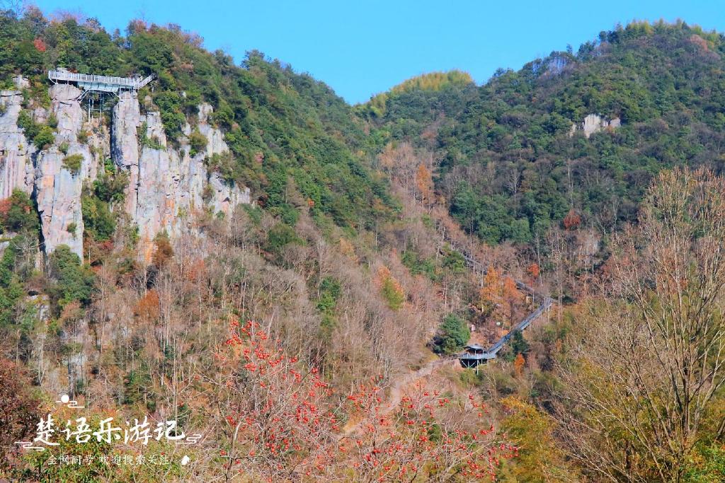 成都供卵中心(宁波十大秋季旅游好去处,明山秀水尽揽秋,它们都有哪些看点?)