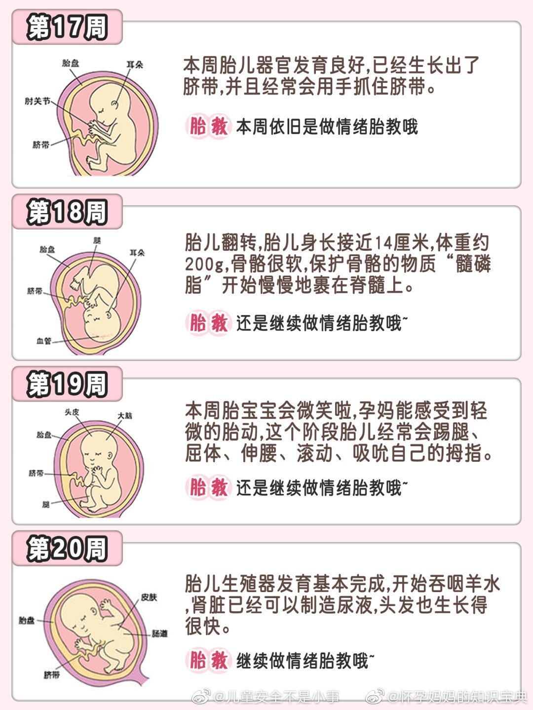 Stages of Fetal Development - CoParents.co.uk Blog