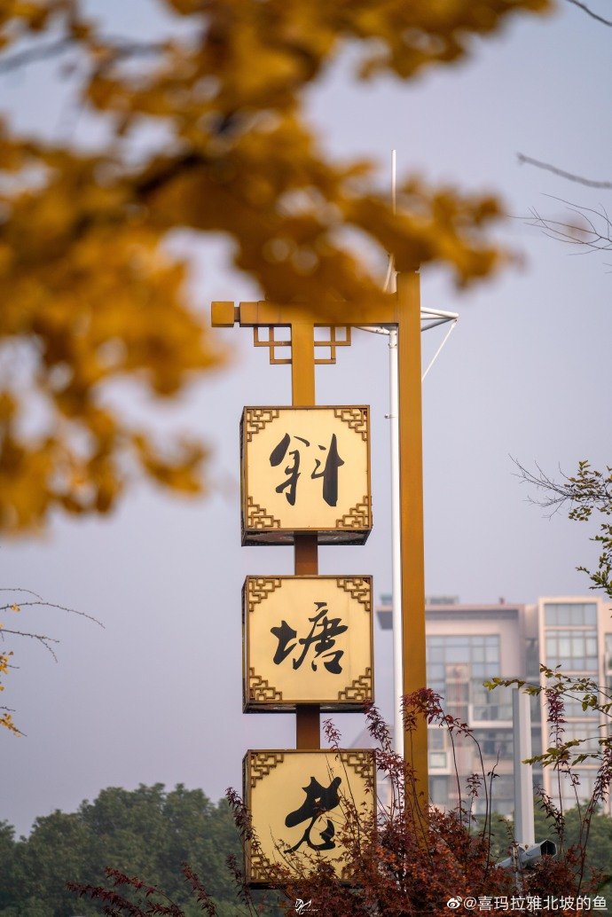 苏州十里斜塘