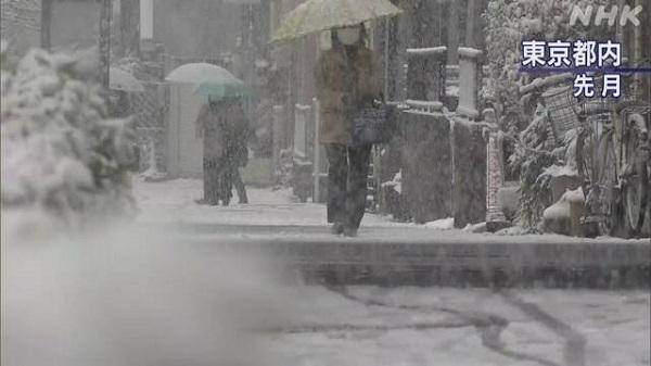 NHK����ѩ��Ϯ���ձ���̬��������˽���ض��������������� ���ֽ���Ӧ��