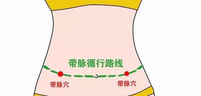 我们平常所说的"带脉",位置在人体的腰腹部.