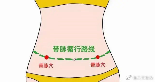 人体其他经脉都是上下纵向而行,只有带脉左右横向环绕,把所有循行于腰