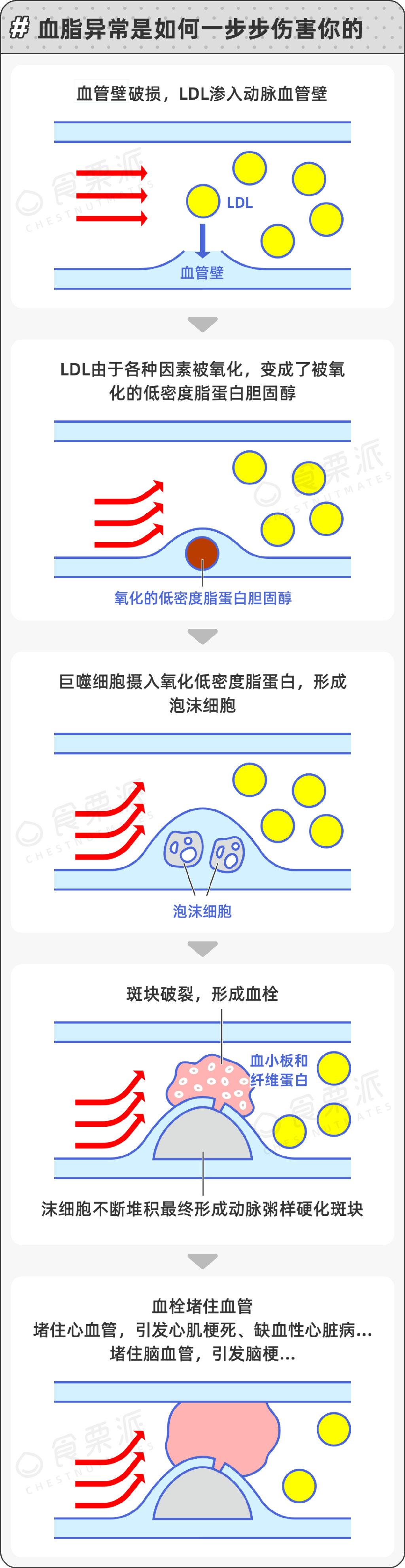 什么是饱和脂肪酸或不饱和脂肪酸?...