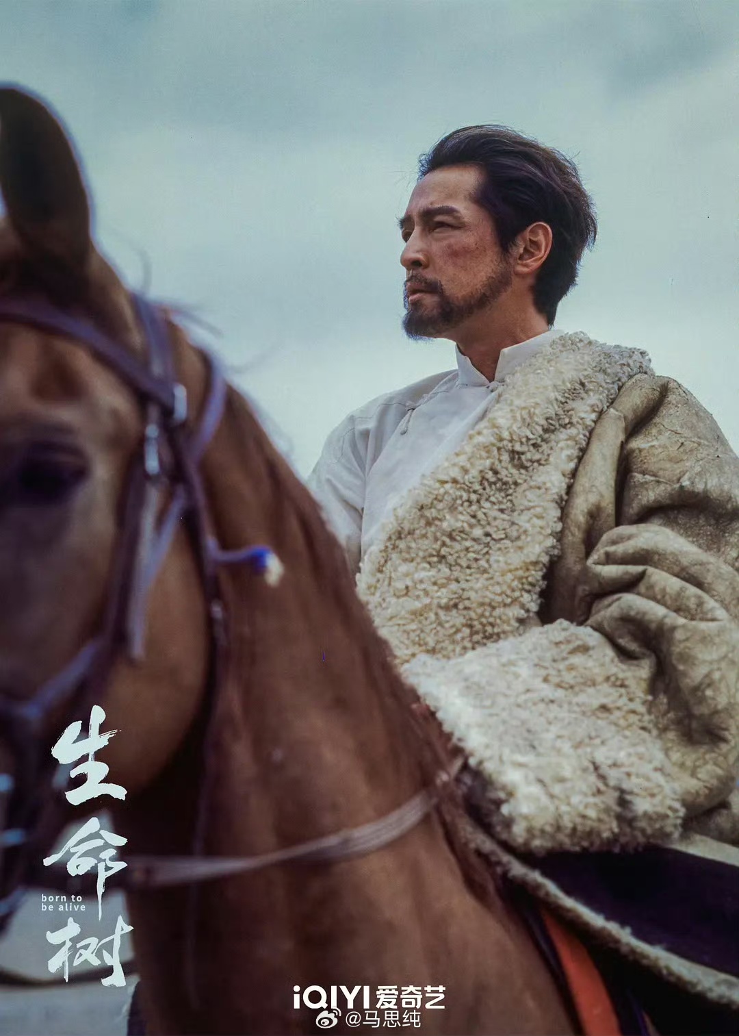 马思纯为杨紫胡歌新剧骄傲加油