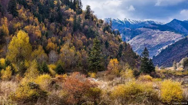 秋分节气含义 冷空气来袭保暖指南