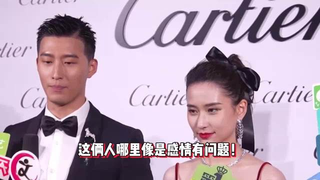 窦骁与何超莲参加活动，主动帮老婆整理发型，深情款款凝视画面太甜