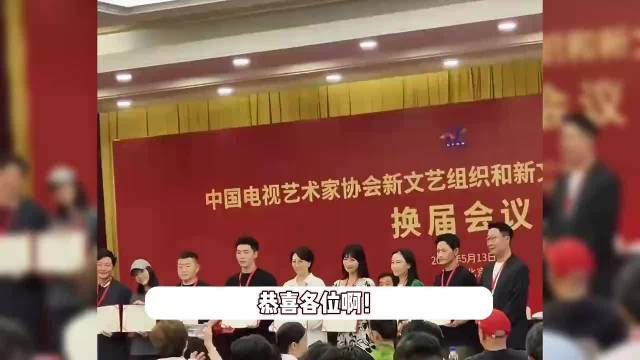 李乃文杨幂梅婷等19人任副会长，林永健任会长，大合影坐前排气场强