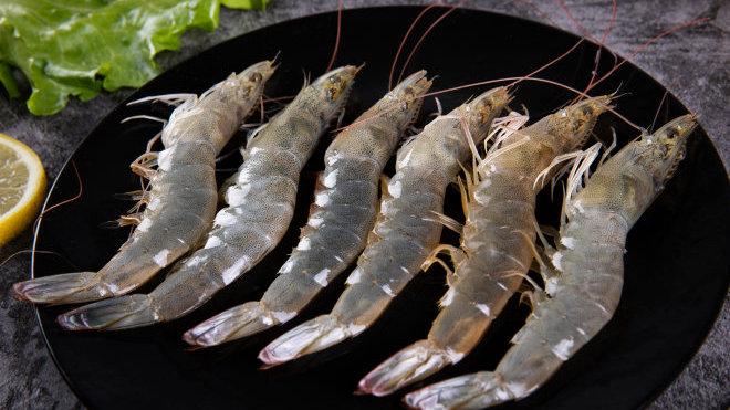 亚洲黑虎虾入侵全球,在美国有人类手臂粗,在中国为何...