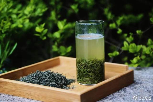 信阳毛尖:绿茶品牌TOP10 揭秘,品味千年茶香传奇