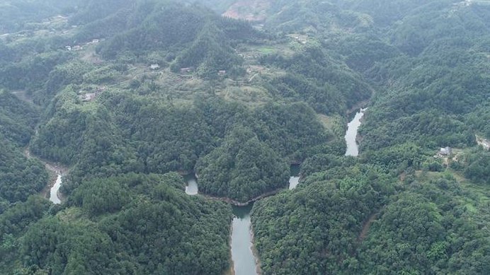 甜城连心桥摘登|什么是森林防火期、防火区？森林火灾如何预防？