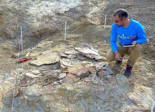 图注:古生物学家埃德温·卡迪纳教授与地纹骇龟的化石,图片来自网络