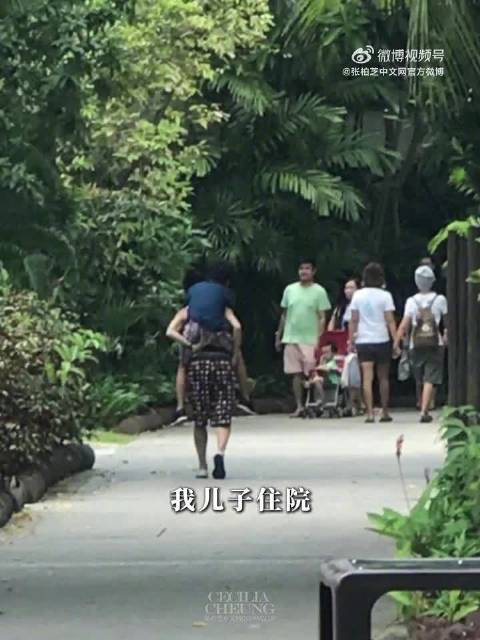 张柏芝自述儿时梦想成真，母亲节vlog展现育儿温情