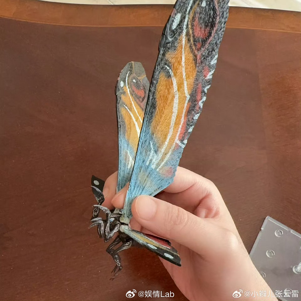 晒《哥斯拉》里的角色摩斯拉和拉顿模型 看出来很喜欢了！