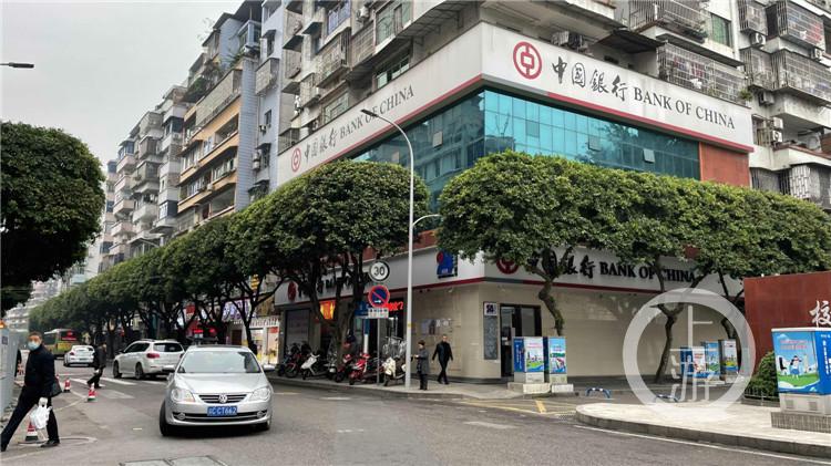 发现重庆之美丨为植物“焕颜”“理发” 江津街头绿地提质“花样”多休闲区蓝鸢梦想 - Www.slyday.coM 发现重庆之美丨为植物“焕颜”“理发” 江津街头绿地提质“花样”多休闲区蓝鸢梦想 - Www.slyday.coM