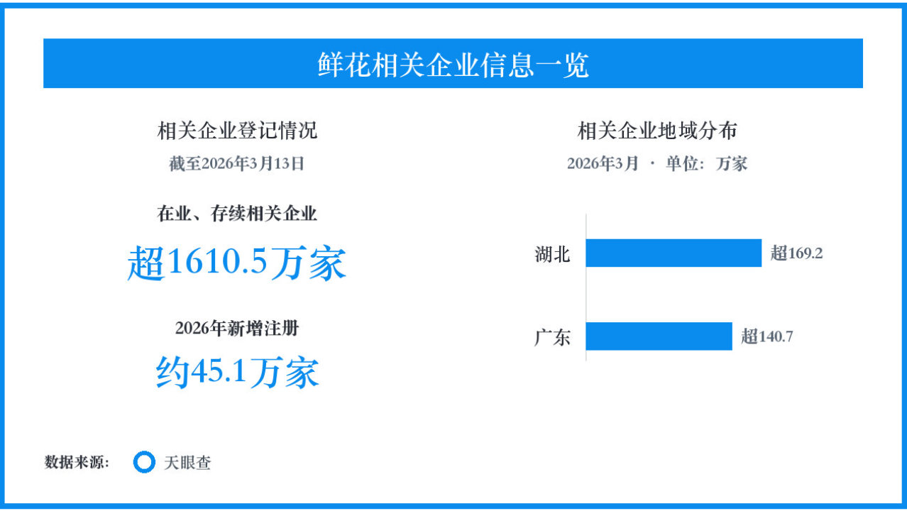 京产菊花出口量额齐增，花卉服务机会延伸到交付环节