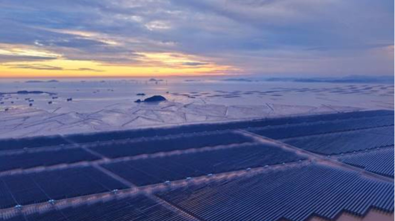 浙里启航：让绿色金融的 “光合效应” 落地生根