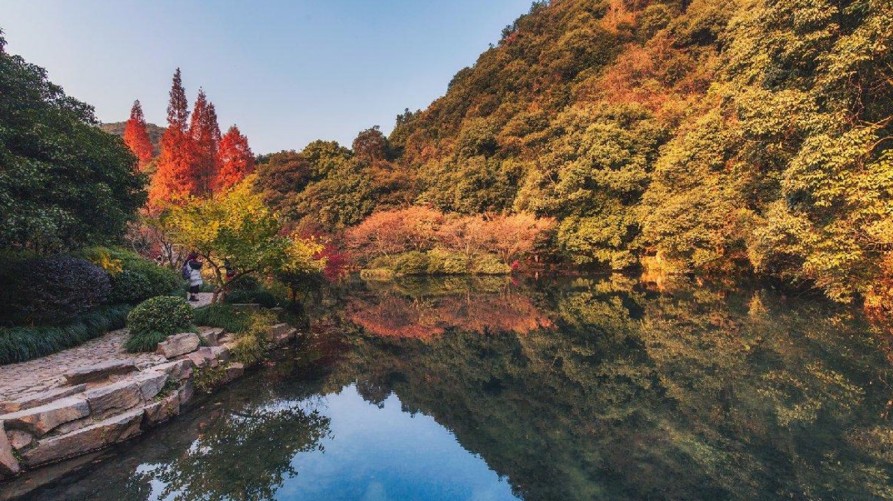 上海出发高铁 45 分钟到杭州,满觉陇桂花九溪烟树周末游 上海出发高铁 45 分钟到杭州,满觉陇桂花九溪烟树周末游