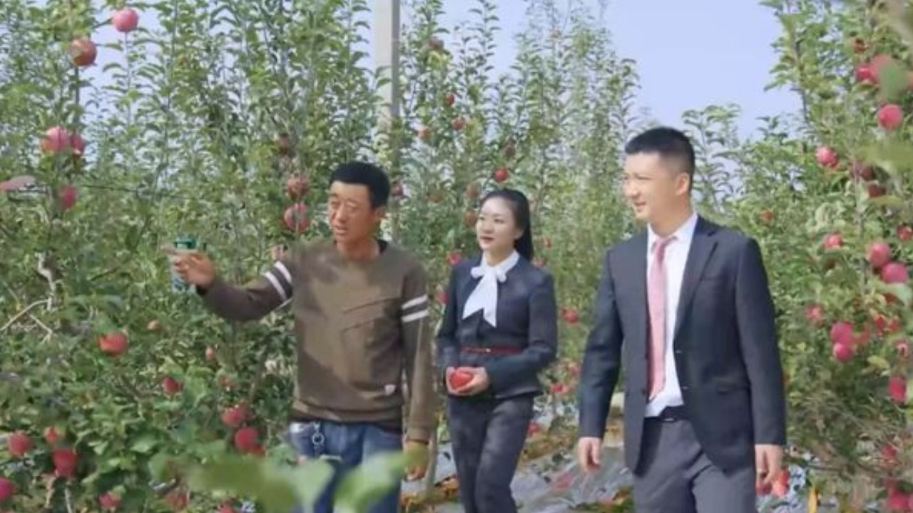 苹果贷、湖羊贷…浙商银行把金融服务送到田间地头