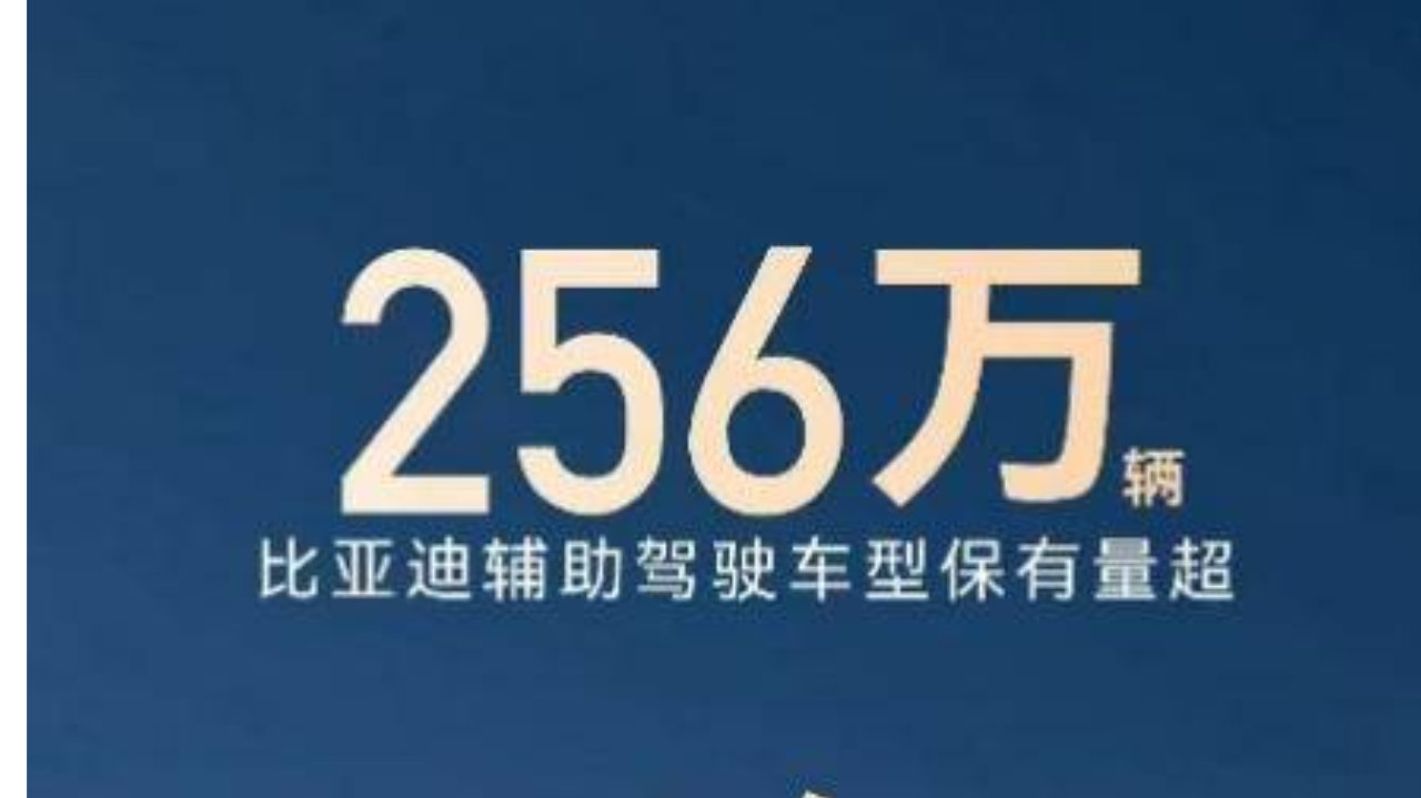 256 万 + 用户共同选择，比亚迪辅助驾驶跑出加速度