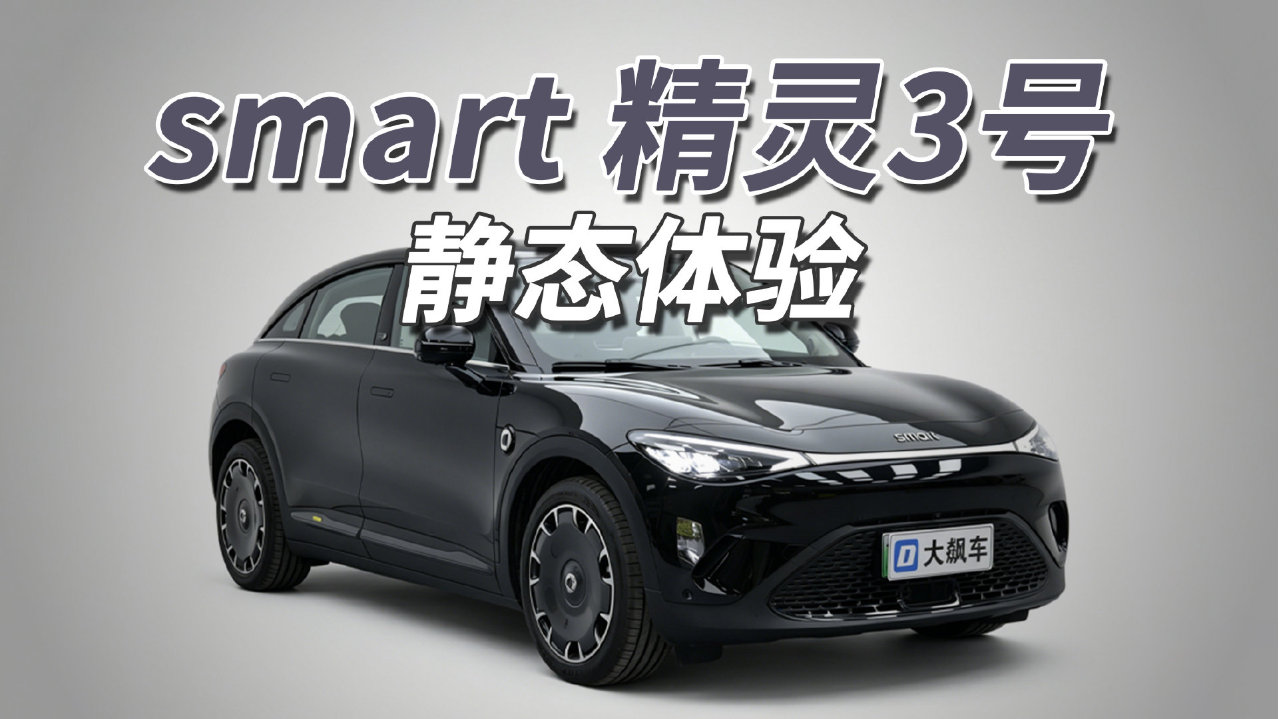 smart3号：开出去不撞款！艺术这块儿国产还赶不上