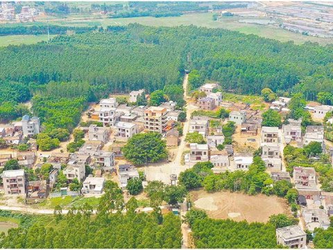 赠砚佳话流传广“珍珠城”里烟火旺