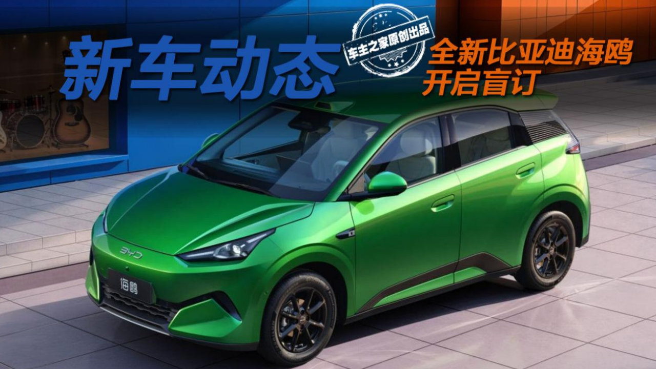 全新比亚迪海鸥开启盲订 尺寸暴涨还全系闪充+独悬？