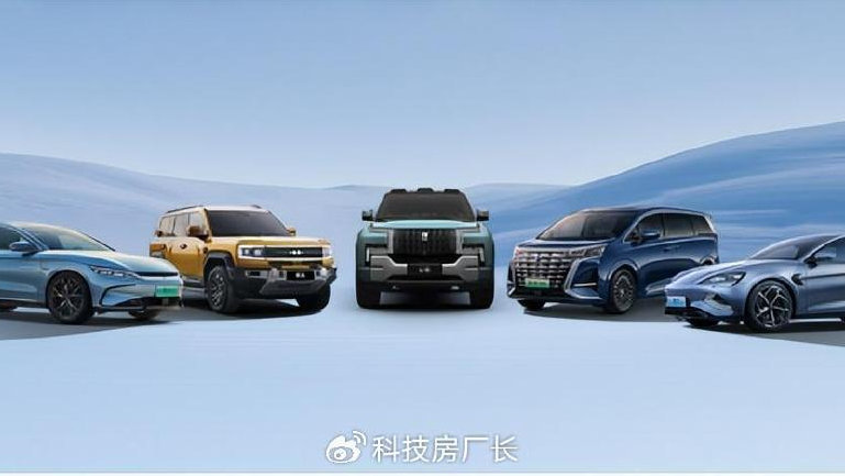 年销302万，比亚迪新能源遥遥领先，成为中国第一大车企