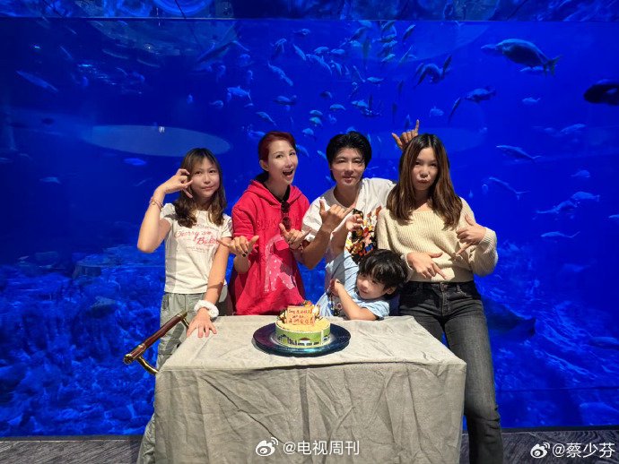 张晋蔡少芬小儿子乐儿6岁生日，一家五口合影庆生