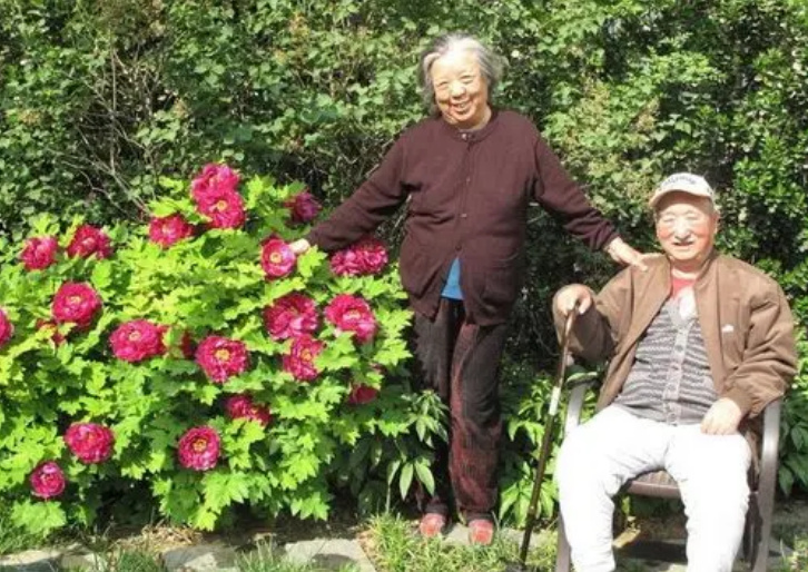 陈佩斯母亲因新冠去世,年轻时跟着丈夫受苦,晚年幸有儿女相伴休闲区蓝鸢梦想 - Www.slyday.coM 陈佩斯母亲因新冠去世,年轻时跟着丈夫受苦,晚年幸有儿女相伴休闲区蓝鸢梦想 - Www.slyday.coM
