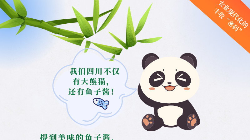 农业现代化的丰收“密码” 一《大熊猫喊你来四川雅安吃鱼子酱！》