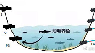 液位传感器在人工养殖鱼塘的水位控制中的应用技术方案