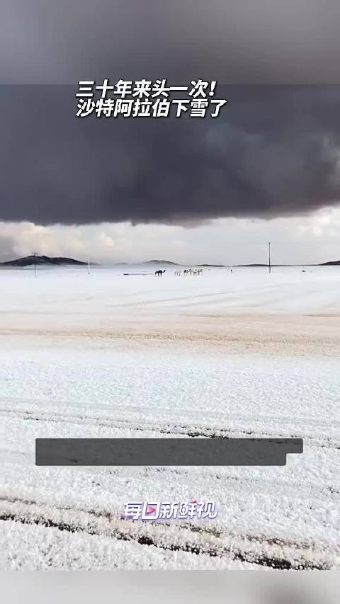 沙特土豪玩嗨了！三十年来头一次，沙特阿拉伯北部下起了雪