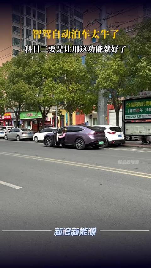 智驾自动泊车太牛了，科目二要是让用这功能就好了