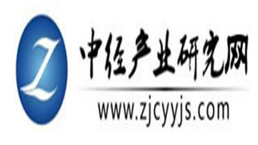 中国碳酸镁粉市场调研分析及投资前景预测报告2025-2030年