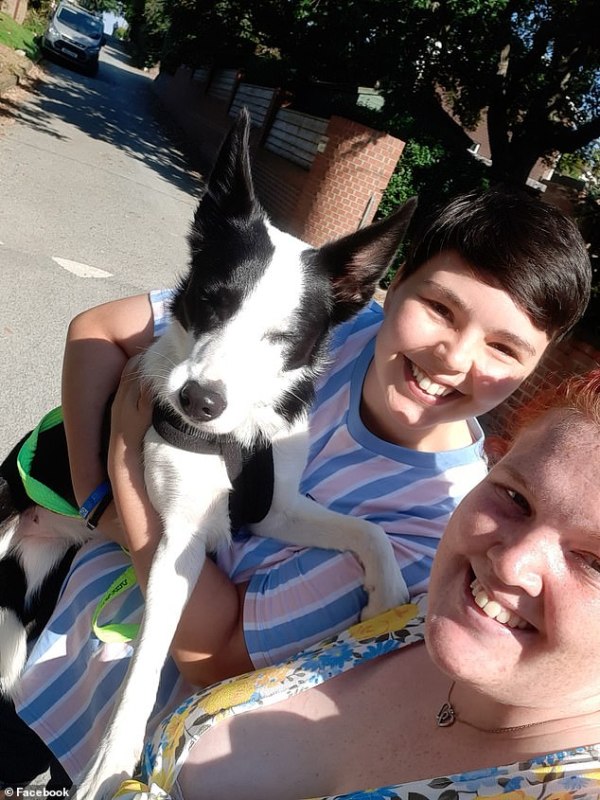 狗狗成精!英国狗主人发帖寻找走丢边牧,谁料它坐公交自己回家了休闲区蓝鸢梦想 - Www.slyday.coM 狗狗成精!英国狗主人发帖寻找走丢边牧,谁料它坐公交自己回家了休闲区蓝鸢梦想 - Www.slyday.coM