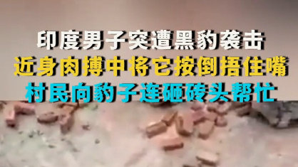 印度男子与黑豹近身肉搏