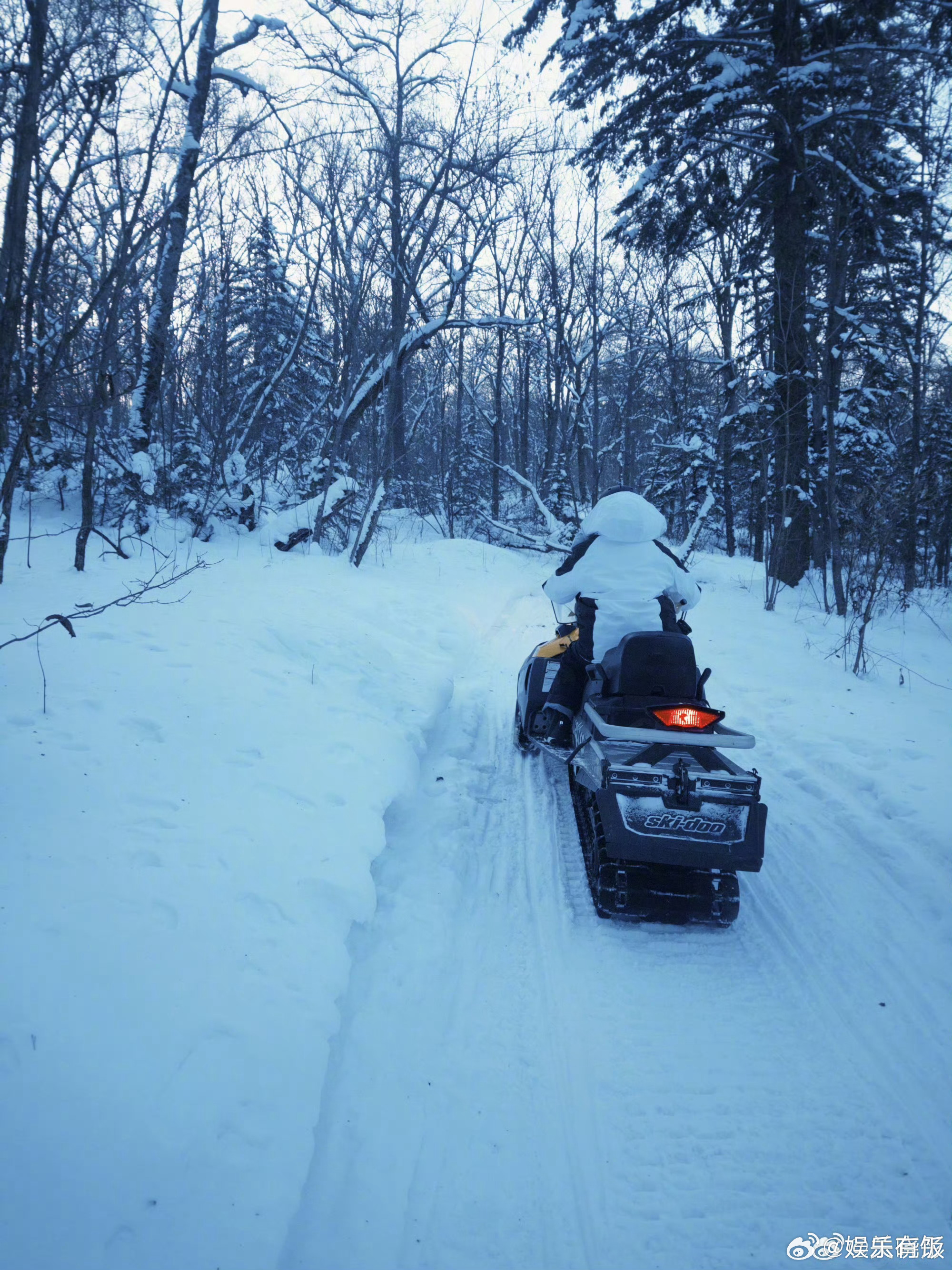 关晓彤自称胆小星人挑战滑雪