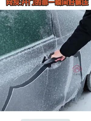 冬季里全车披上免费车衣的样子，网友:开门的那一瞬间好解压