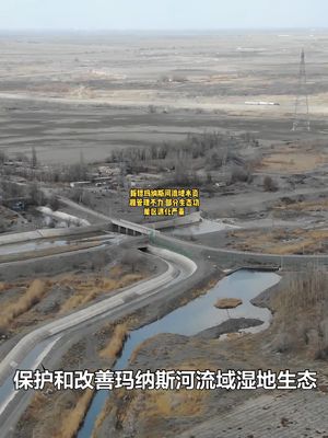 中央生态环保督察典型案例丨新疆玛纳斯河流域水资源管理不力部分生态