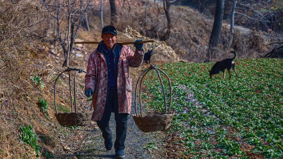 摄影师镜头下的河南山村留守老人生活状态：自食其力种菜编筐闲不住