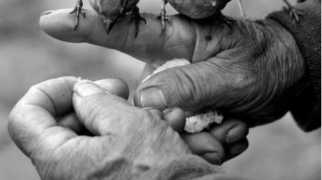 降头都有什么电影