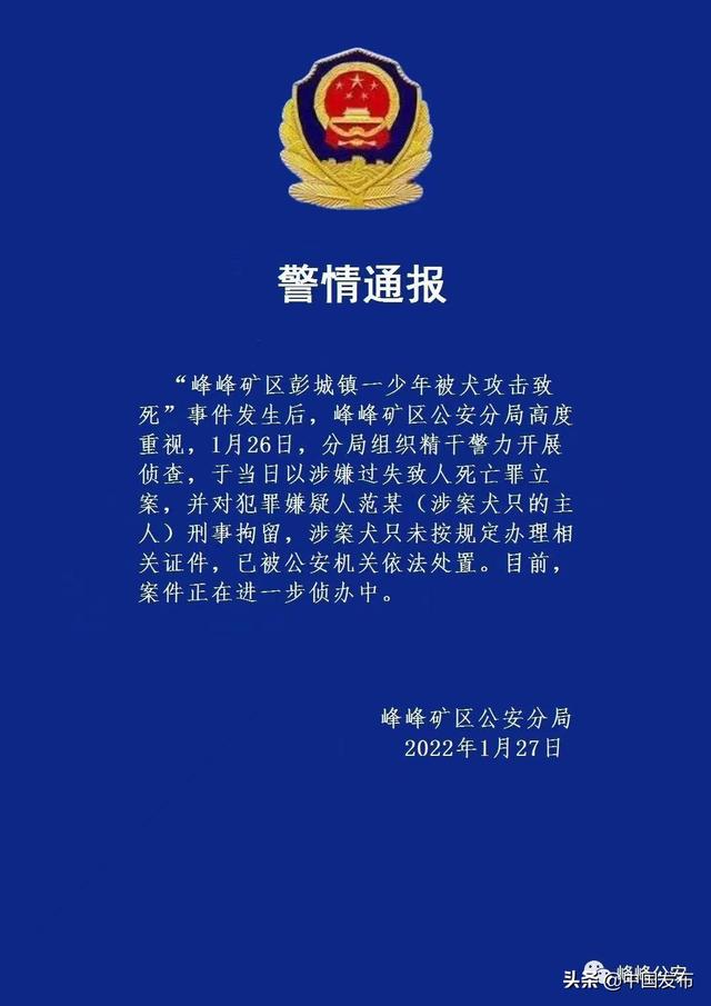 中国发布丨河北邯郸峰峰矿区一少年被犬攻击致死 涉案犬只主人被刑拘