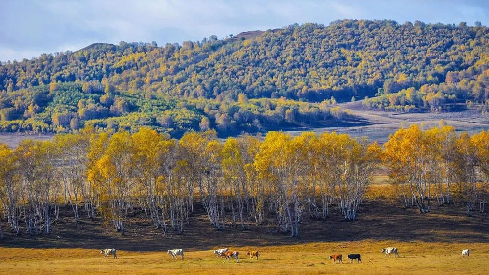 赤峰600元特殊服务4个小时是真的吗 看看其他赤峰相关服务情况