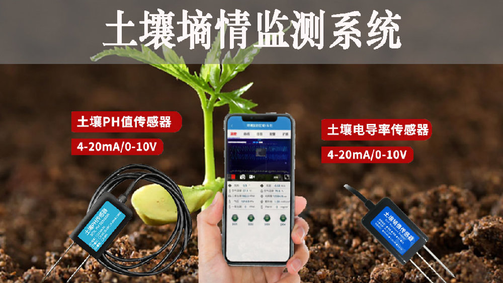 雙語呈現